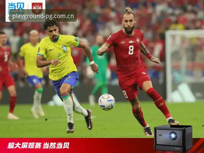 资深用户分享:世界杯观赛受阻背后的签证困境与PG平台观赛新思路
